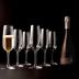 Riedel Eisch Vino Nobile- set of 6 Champagne Glasses Gift Product Image