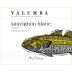 Yalumba Y Series Sauvignon Blanc 2009 Front Label
