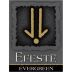 Efeste Evergreen Riesling 2008 Front Label