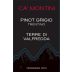 Ca' Montini Trentino Pinot Grigio 2010 Front Label