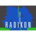 Radikon Ribolla Gialla (500ml) 2005 Front Label