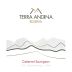 Terra Andina Alto Reserve Cabernet Sauvignon 2009 Front Label
