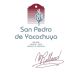 Gilt San Pedro de Yacachuya Malbec 2009 Front Label