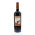 Terra Andina Cabernet Sauvignon 2011 Back Bottle Shot