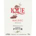 Enrique Foster Ique Malbec 2012 Front Label