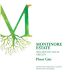 Montinore Estate Pinot Gris 2012 Front Label
