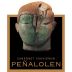 Penalolen Cabernet Sauvignon 2011 Front Label