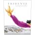Tridente Tempranillo 2009 Front Label