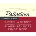 K. Martini & Sohn Sudtirol-Alto Adige Palladium Blauburgunder Pinot Nero 2013 Front Label