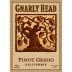 Gnarly Head Pinot Grigio 2012 Front Label
