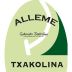 Alleme Getariako Txakolina 2013 Front Label