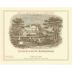 Chateau Lafite Rothschild (1.5 Liter Magnum in OWC) 1981 Front Label