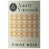 Amity Willamette Valley Pinot Noir 2013 Front Label