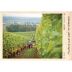 Chehalem Stoller Vineyard Pinot Noir 2011 Front Label