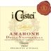 Michele Castellani i Castei Amarone Della Valpolicella Classico 2010 Front Label