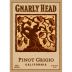 Gnarly Head Pinot Grigio 2014 Front Label
