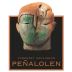 Penalolen Cabernet Sauvignon 2013 Front Label