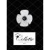 Bello Family Vineyards Collette Brut Front Label
