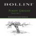 Bollini Pinot Grigio 2014 Front Label