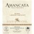 CARO Amancaya 2013 Front Label