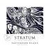 Sherwood Estate Stratum Sauvignon Blanc 2013 Front Label