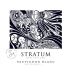 Sherwood Estate Stratum Sauvignon Blanc 2015 Front Label
