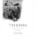 Suertes del Marques 7 Fuentes Listan Negro 2013 Front Label