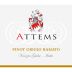 Attems Pinot Grigio Ramato 2014 Front Label