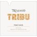 Trivento Tribu Pinot Noir 2012 Front Label
