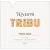 Trivento Tribu Pinot Noir 2010 Front Label
