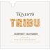 Trivento Tribu Cabernet Sauvignon 2013 Front Label