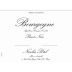 Nicolas Potel Bourgogne Pinot Noir 2014 Front Label