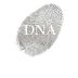 Vergelegen DNA Red 2011 Front Label