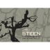 Leo Steen The Steen Jurassic Vineyard Chenin Blanc 2013 Front Label