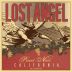 Lost Angel Pinot Noir 2015 Front Label