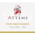 Attems Pinot Grigio Ramato 2015 Front Label