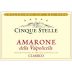 Castellani Cinque Stelle Amarone (torn label) 1999 Front Label