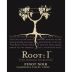 Root:1 Pinot Noir Reserva 2014 Front Label