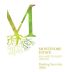 Montinore Estate Semi Dry Riesling 2006 Front Label