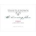 Thistledown Cunning Plan Shiraz 2013 Front Label