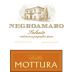 Azienda Mottura Villa Mottura Negroamaro 2015 Front Label
