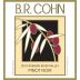 B.R. Cohn Russian River Valley Pinot Noir 2010 Front Label