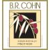 B.R. Cohn Russian River Valley Pinot Noir 2011 Front Label