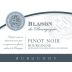 Blason de Bourgogne Bourgogne Pinot Noir 2009 Front Label