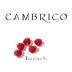 Bodega Cambrico Sierra de Salamanca Vino de Calidad Tempranillo 2004 Front Label