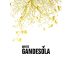 Bodega Cooperative Gandesa Gandesola Blanco 2014 Front Label