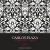 Bodegas Carlos Plaza Joven Tempranillo - Syrah 2013 Front Label