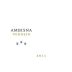 Bodegas Enologica Wamba Ambisna Verdejo 2011 Front Label