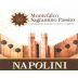 Cantina Napolini Montefalco Sagrantino Passito 2009 Front Label