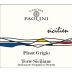 Cantine Paolini Terre Siciliane Pinot Grigio 2015 Front Label